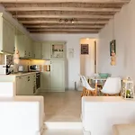 Mykonos Divino Appartement
